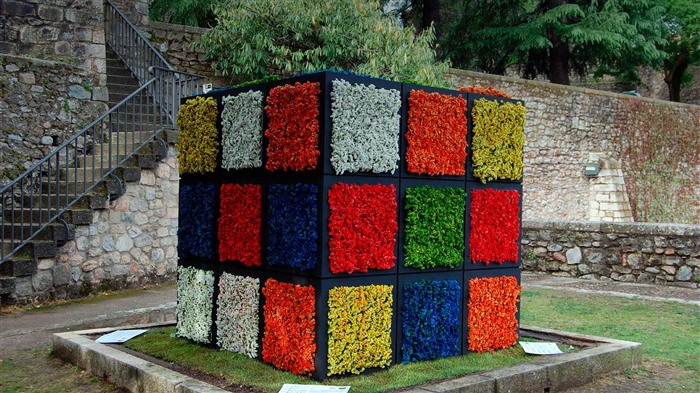 Rubik Cube Flowers, Girona, Catalogne, Espagne, 2023, Bing, 4K Vues:3793