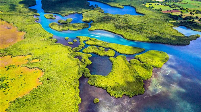 Zones humides,Parc National de la Guadeloupe,Petites Antilles,Bing,4K Vues:3589