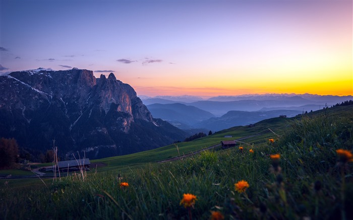 Prado, Flores, Atardecer, Alpes sicilianos, Italia, 5K Vistas:5351