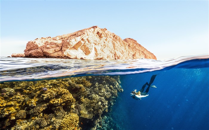 Arábia,Costa,Coral,Mergulho,Recife,Oceano,5K Visualizações:3459