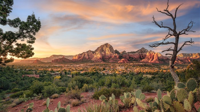 Sedona, Cactus, Coucher de soleil, Arizona, états-Unis, Bing, 4K Vues:4285