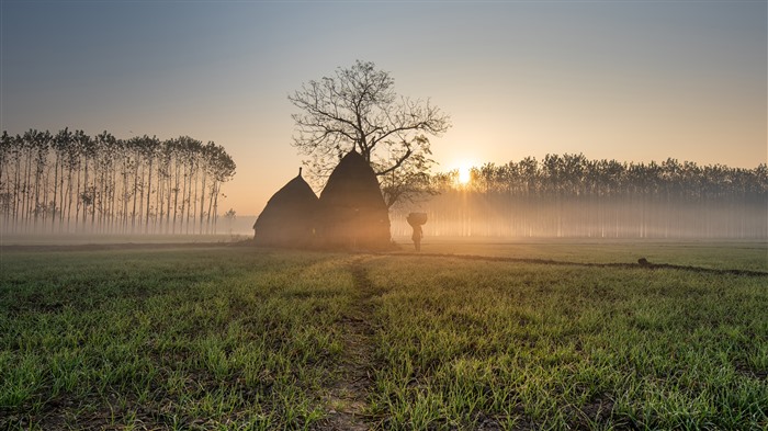 Huttes au toit de chaume, Pendjab rural, Inde, Bing, 4K Vues:3880