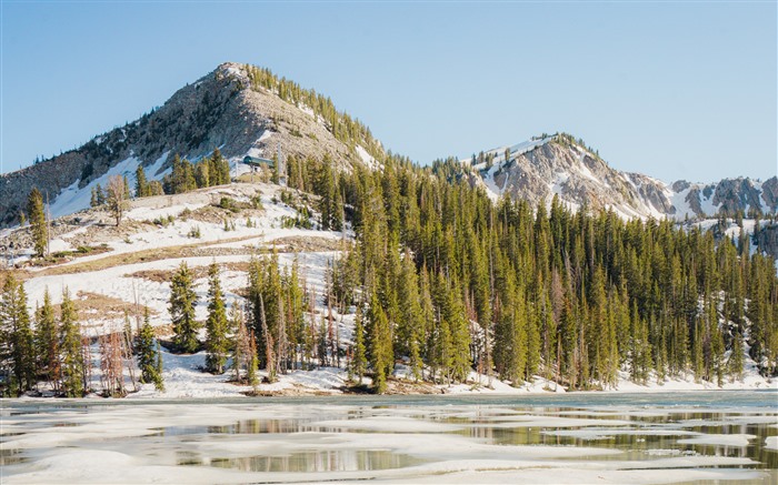 Autumn, Twin Lakes, Cottonwood Canyon, Utah, 5k Visualizações:4796