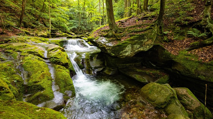 Bear Hole Brook, Catskill Mountains, New York, Bing, 4K Vues:3644