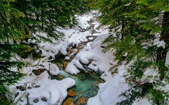 Inverno, rio, neve, Franklin Falls, Washington, EUA, 5k Visualizações:4078