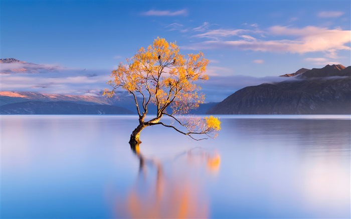 Lonely Tree Autumn Lake Wanaka New Zealand 5K Views:6554 Date:2023/9/3 5:19:47