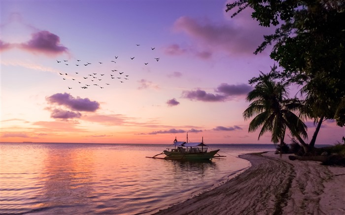 Palm Coast Beach Sunset Balabac Philippines 5K Views:4755 Date:2024/1/10 14:21:59