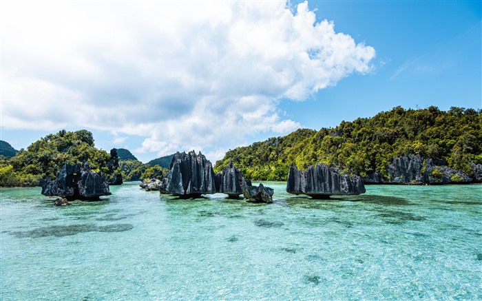 Raja Ampat Islands Tropical Waisilip Indonesien 5K Views:4657 Date:2024/1/10 14:05:10