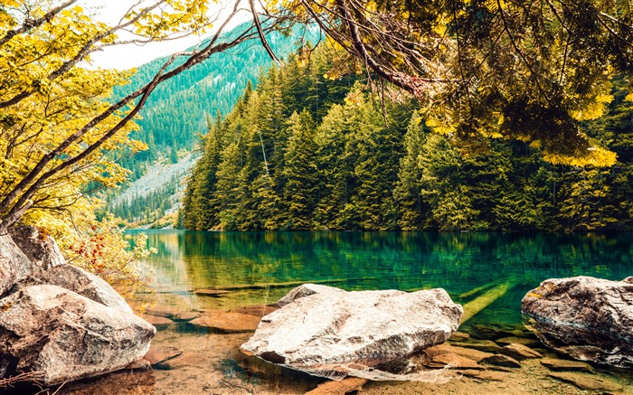 Lindeman Lake, Fraser Valley, Jungle, BC, Canada, 5K Vues:3975