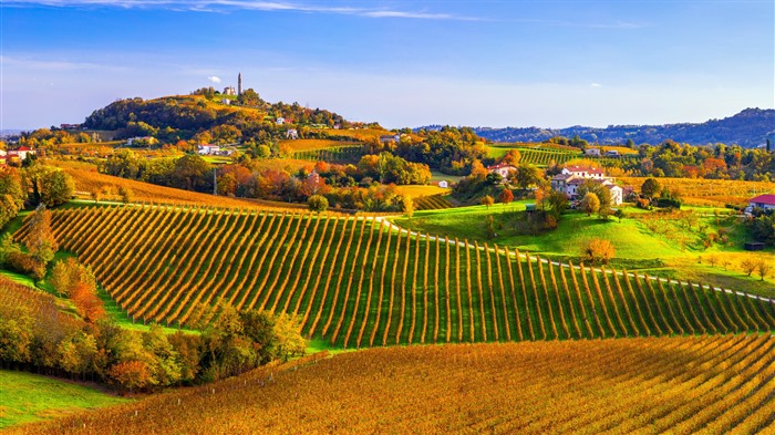 Prosecco Hills, Conegliano, Valdobbiadene, Veneto, Italia, Bing, 4K Vistas:2716