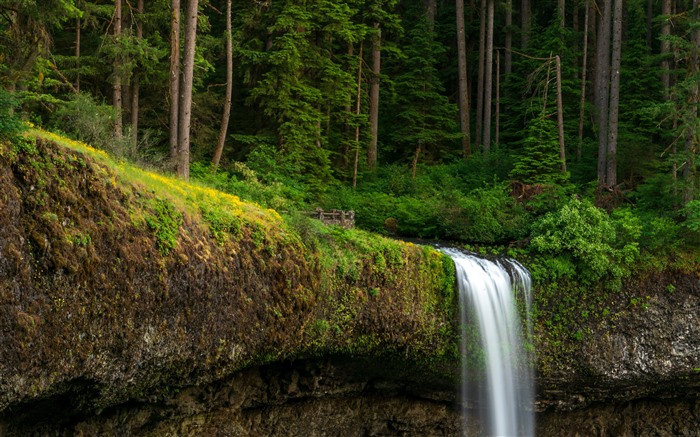 Silver Creek Falls, Spring, Marion County, Oregon, EUA, 5k Visualizações:2623