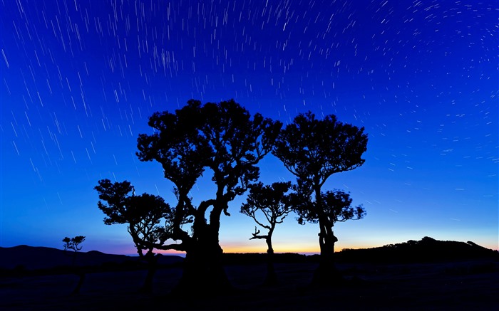 Trails étoiles, ciel nocturne, arbres, fanal, mafère, Portugal, 5K Vues:3340