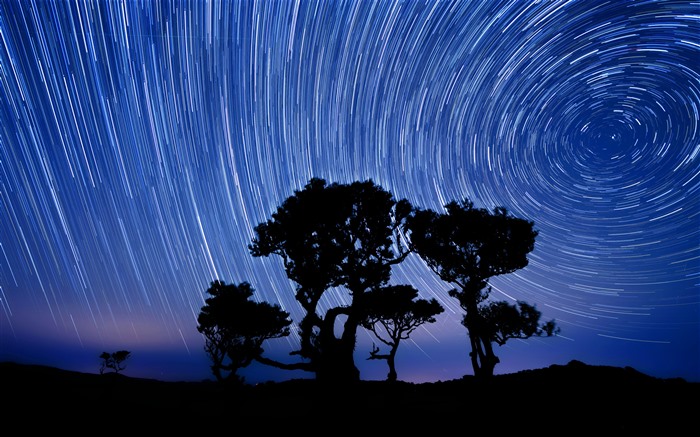 Summer Night Fanal Forest Island of Madeira 5K Views:3070 Date:2024/3/21 10:25:04