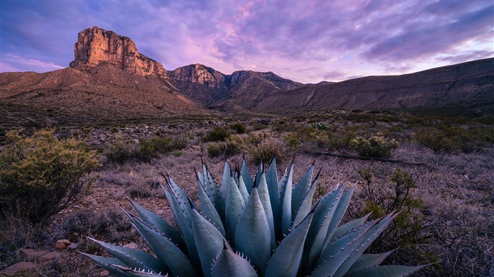 El Capitan, Sunrise, Guadalupe Mountains Park, Texas, Bing, 4K Vistas:2051