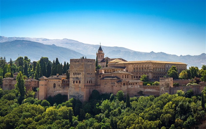 Jungle, Castle, Alhambra of Granada, España, 5K Vistas:2877