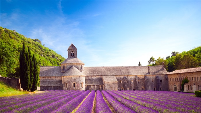 Abadía de Notre Dame de Senanque, Gordes, Provenza, Bing, 4K Vistas:2250