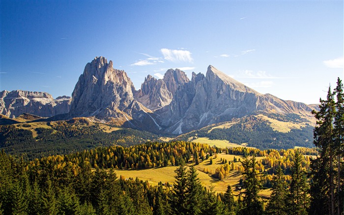 Fall Grassy Hills Forest Dolomites Italy 5K Views:1779 Date:2024/8/7 2:34:34