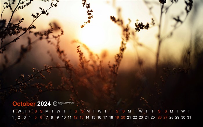 Late Autumn Sunset Grass 2024 October Calendar 5K Views:474