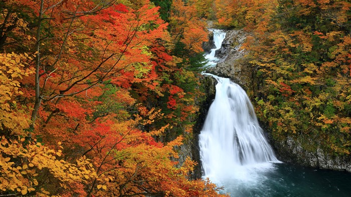 Houtai Falls, folhas de outono, prefeitura de Akita, Japão, Bing, 4K Visualizações:1579