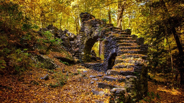 Madame Sherri Forest, outono, New Hampshire, Bing, 4K Visualizações:1580