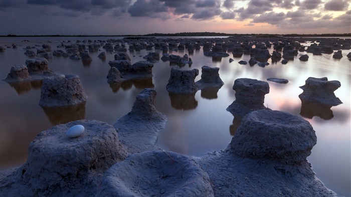 Ovo flamingo, lago, anoitecer, Yucatan, México, Bing, 4K Visualizações:820