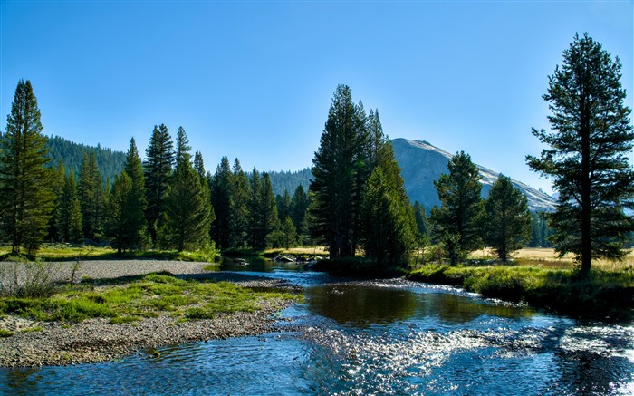 Summer River Tuolumne Meadows California USA 5K Views:2851 Date:2024/11/15 11:57:34