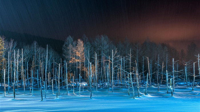 Noite, Lagoa Azul Iluminada, Biei, Hokkaido, Bing, 4K Visualizações:783