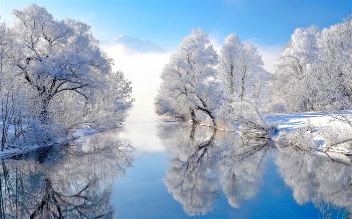 Winter Rime Jungle River Nature Scenery 5K Views:2658 Date:2024/12/6 12:14:34