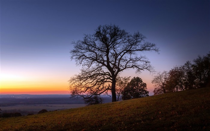 Hillside Dusk Sunset Single tree Kuczynia Slovenia 5K Views:534