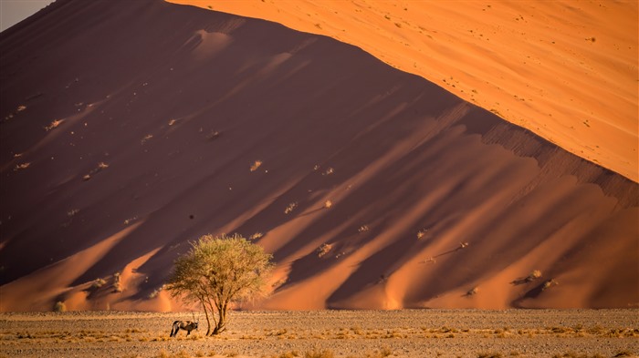 Sossusvlei sand dunes Namib desert Namibia Bing 4K Views:428