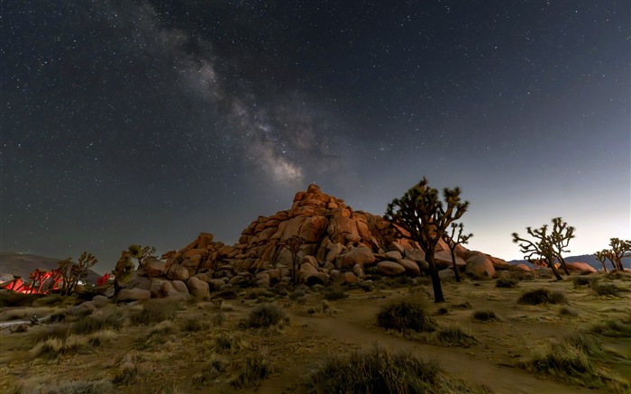 Starry sky Milky Way Joshua Tree California USA 5K Views:797